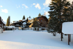 Kreitseilerhof, Ramsau Am Dachstein, Österreich